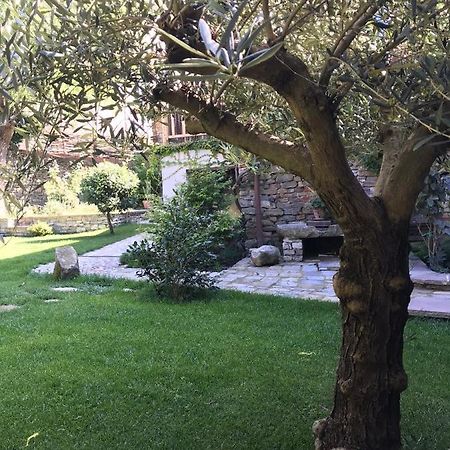 Number 10 Locanda B&B Belvedere Langhe 외부 사진