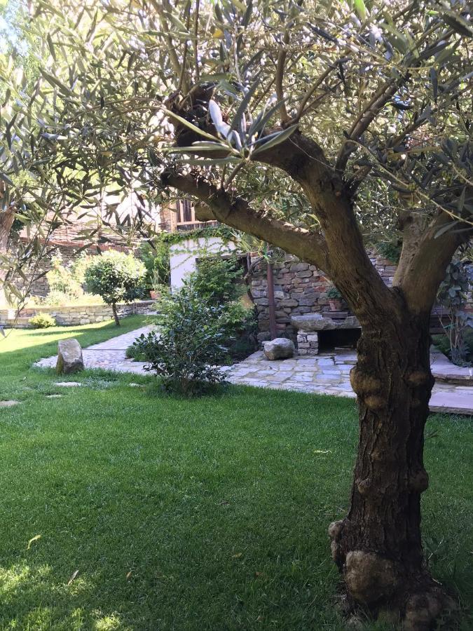 Number 10 Locanda B&B Belvedere Langhe 외부 사진