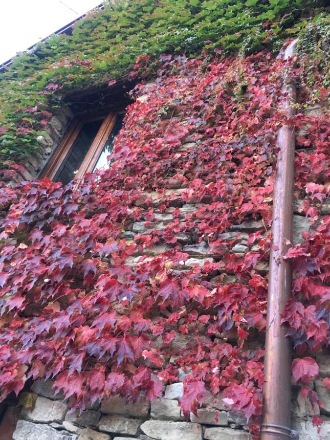 Number 10 Locanda B&B Belvedere Langhe 외부 사진